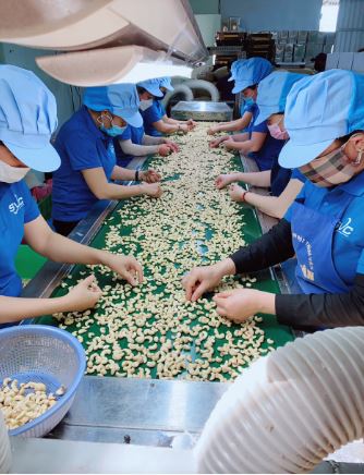  - Hạt Điều SVC - Công Ty Cổ Phần Quốc Tế SVC